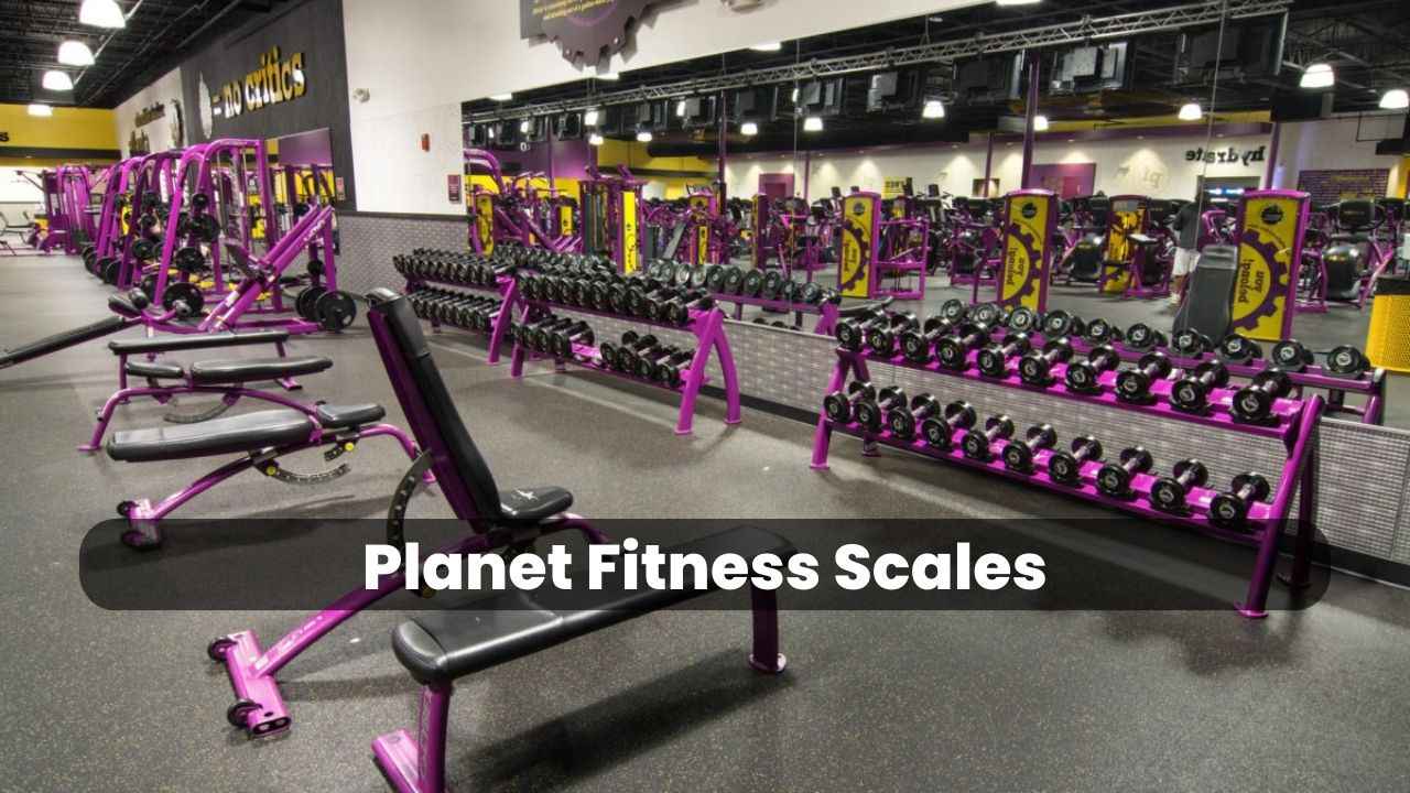 planet fitness scales